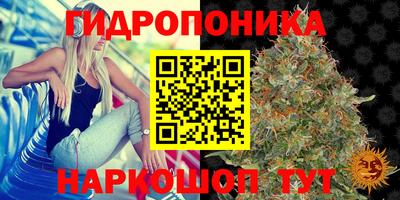 крисы Сланцы