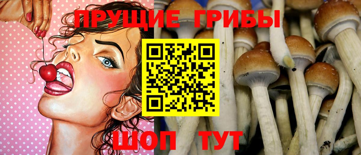 Галлюциногенные грибы прущие грибы  Псилоцибиновые грибы GOLDEN TEACHER  Новоуральск  Вход с VPN 