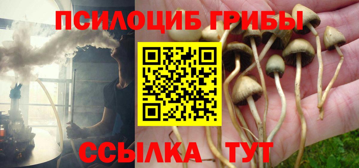 Псилоцибиновые грибы GOLDEN TEACHER Новоуральск